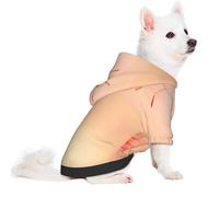 Salelf The Sunset of Dandelion for Small Dog Hoodie for Winter Fall, Warm Polyester Puppy Clothes with Hood, Soft Cozy Dog Sweater for Small Breeds, Cold Weather Pet Apparel