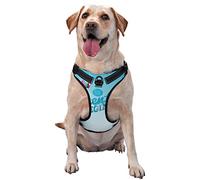 Salelf The Travel Adventure Begins No Pull Dog Harness Reflective Adjustable Pet Ves No Choke Front Clip Pet Harness with 2 Leash Clips + 1 Pet Leash for Large Dog Walking