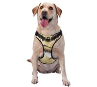 Salelf We Live for Adventure,Lets GO No Pull Dog Harness Reflective Adjustable Pet VES No Choke Front Clip Pet Harness with 2 Leash Clips + 1 Pet Leash for Large Dog Walking