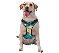 Salelf World Map with Landmarks No Pull Dog Harness Reflective Adjustable Pet VES No Choke Front Clip Pet Harness with 2 Leash Clips + 1 Pet Leash for Large Dog Walking