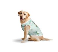 Salelf World Travel Map for Dog Costume, All Season Soft Pure Cotton Pet Harness, Outerwear for Medium to Large Dogs, Outdoor Walking