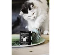 Salem Sanctuary for Wayward Cats Black Mug | Ferals Familiars Welcome Black Cat Mug | Cat Salem Sanctuary for Wayward Cats 1692 Coffee Mug