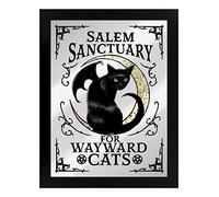 Salem Sanctuary For Wayward Cats Mirrored Tin Sign Black 35x45cm