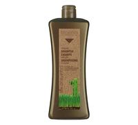 Salerm Cosmetics Argan Shampoo - 1000 ml