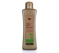 Salerm Cosmetics Argan Shampoo - 300 ml