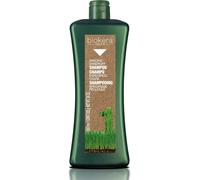 Salerm cosmetics Shampoo Dandruff Dandruff - 1000 ml