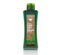 Salerm cosmetics Shampoo Specific Dandruff - 300 ml