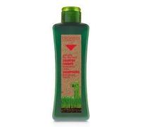 Salerm Fall Shampoo 300 ml Natural Biokera 300 ml