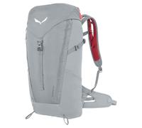 Salewa Alp Mate 24l Backpack Grey Men,Women