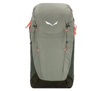 Salewa Alp Trainer 25l Backpack Grey Men,Women
