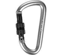Salewa D-Shape Carabiner With Screw, Steel, Unisex
