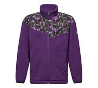 Salewa Eagle Anniversary Jacket Unisex, purple, L