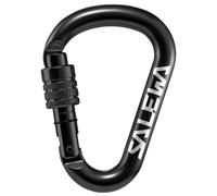 Salewa HMS G2 Carabiner 00-0000001525 900 - Black