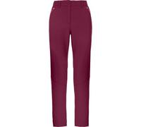 Salewa Men DOLOMIA W PNT Pants, Rhodo red, 48/42