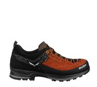 Salewa Mens Mountain Trainer 2 Gore-Tex Walking Shoes Black 11.5