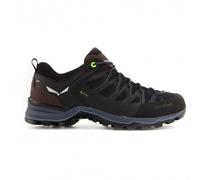 Salewa Mtn Trainer Lite Goretex Hiking Shoes Black EU 40 Man