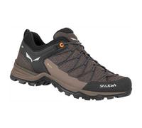 Salewa Mtn Trainer Lite Gore-tex® Hiking Shoes