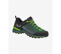 Salewa Mountain Trainer Lite Goretex Hiking Shoes Green EU 46 Men