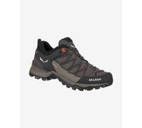 Salewa Mountain Trainer Lite Gore-tex® Hiking Shoes Brown,White,Black EU 41 Woman