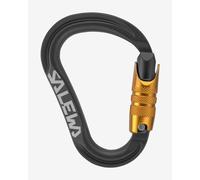 Salewa Ortles HMS C.3 carabiner black gold