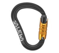 Salewa - Ortles HMS C.3 M Carabiner - HMS carabiner grey