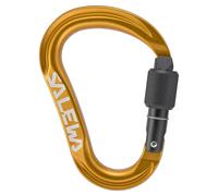 Salewa Ortles HMS M black gold carabiner