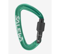 Salewa - Ortles Screw Carabiner - Screwgate carabiner multi