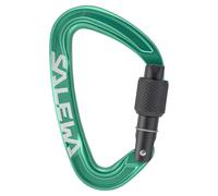 Salewa Ortles Screw Snap Hook