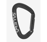 Salewa Ortles Straight carabiner black