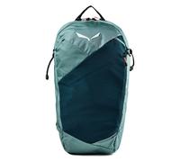 Salewa Pedroc Active Hiking backpack 44 cm green