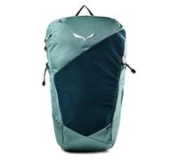 Salewa Pedroc Core 22 L Hiking backpack 52 cm green