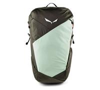 Salewa Pedroc Core Hiking backpack 50 cm green