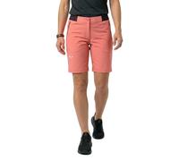 Salewa Pedroc Dst Shorts