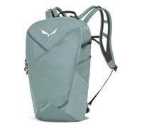 Salewa Pedroc Mate 18l Backpack Green