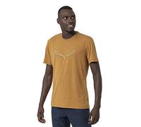 Salewa Pure Eagle Frame Dry M Tshirt, Golden Brown Melange, S, Male