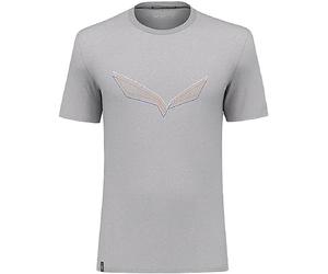 Salewa Pure Eagle Frame Dry M Tshirt, Heather Grey, M, Male