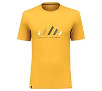 Salewa Pure Stripes Dry T-Shirt M Gold
