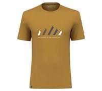 Salewa Pure Stripes Dry T-Shirt M Golden Brown