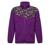 Salewa - Soft and Warm Fleeces - Eagle Anniversary FZ Jkt U Plum for Men - Size M - Purple Purple M
