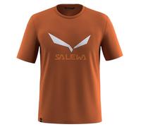 Salewa Solidlogo Dry T-Shirt M, Bombay Brown, S