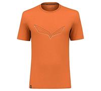 Salewa Unisex Pure Eagle Frame Dry M Tshirt. Sports T-Shirt (Pack of 1)