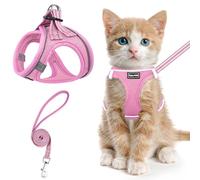SALFSE Cat Harness and Leash for Walking Escape Proof, Adjustable Kitten Vest Harness Reflective Soft Mesh Puppy Harness for Outdoor, Comfort Fit, Easy to Control (NPink, XS)