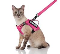 SALFSE Tactical Cat Harness and Leash, Escape Proof Large Cat Walking Vest,Adjustable Soft Mesh Pet Vest Harness with Control Handle, Molle Patches (777816858438, Large)