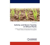 Salinity and Boron Toxicity in Wheat Plants: Salinity and Boron Toxicity Interaction in Wheat Plants: Cellular to Subcellular Investigation