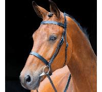 Salisbury Berrington Hunter Cavesson Bridle - Cob · Black