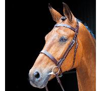 Salisbury Berrington Hunter Cavesson Bridle - Extra Full · Australian Nut