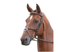 Salisbury Brackley Leather Horse Bridle Black (Cob)