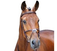 Salisbury Brackley Leather Stitch Horse Bridle Australian Nut (Cob)