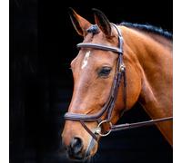 Salisbury Buckingham Bridle - Cob · Australian Nut