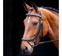 Salisbury Buckingham Bridle - Extra Full · Black